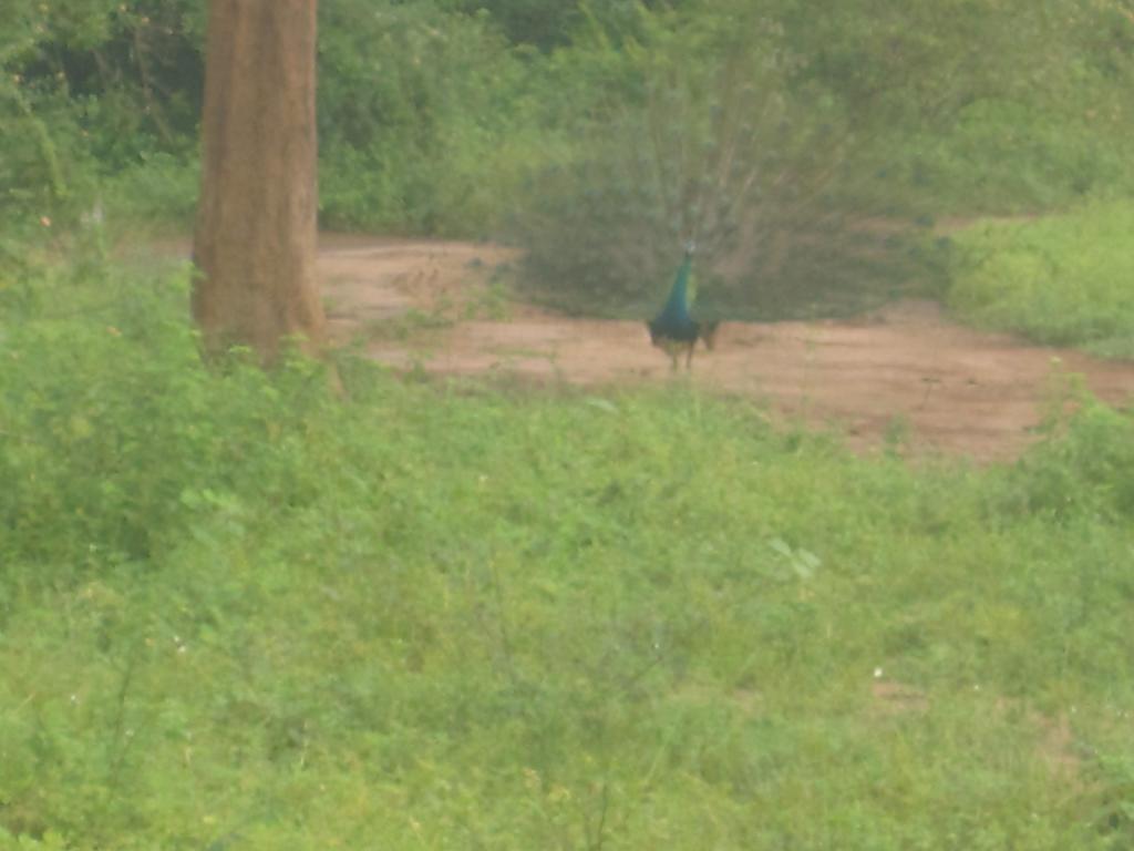 Ranith Villa Tangalle Buitenkant foto