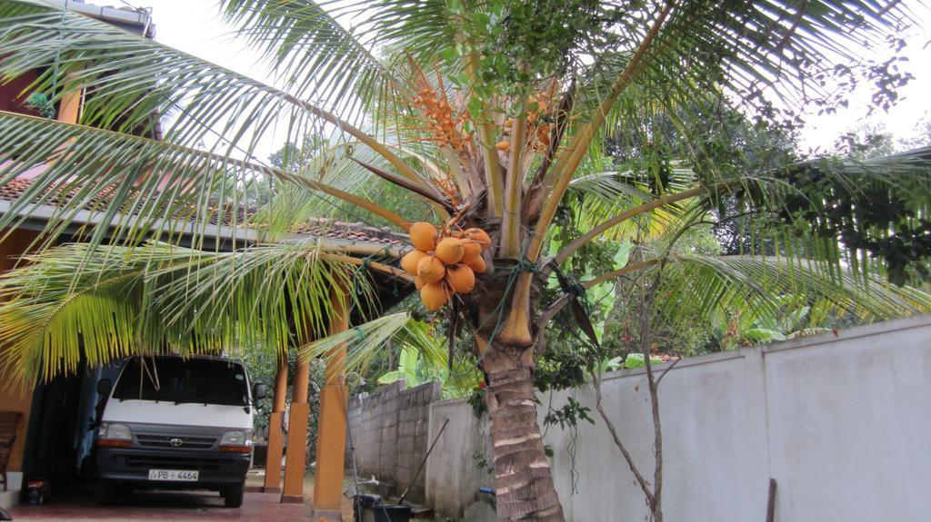 Ranith Villa Tangalle Buitenkant foto